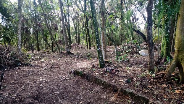 Foto 9 do(a) Terreno de 1 quartos à venda em Morro Grande, Caieiras