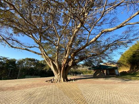 Foto 31 do(a) Casa em Condomínio de 4 quartos à venda em Condomínio Residencial Reserva Ecológica Atibaia, Atibaia