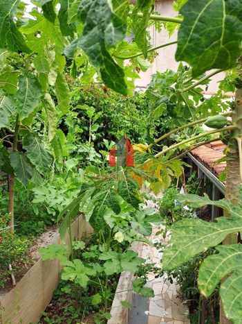 Foto 24 do(a) Casa de 4 quartos à venda em Bom Pastor, Varginha