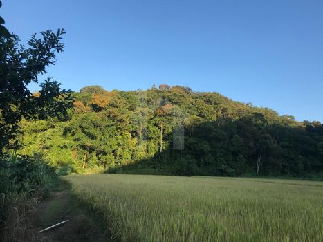 Foto 5 do(a) Terreno false à venda em Ribeirão Cavalo, Jaraguá do Sul