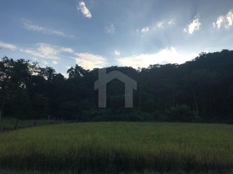 Foto 4 do(a) Terreno false à venda em Ribeirão Cavalo, Jaraguá do Sul