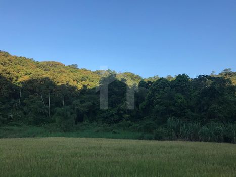 Foto 2 do(a) Terreno false à venda em Ribeirão Cavalo, Jaraguá do Sul