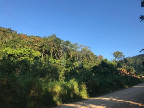 Foto 3 do(a) Terreno false à venda em Ribeirão Cavalo, Jaraguá do Sul