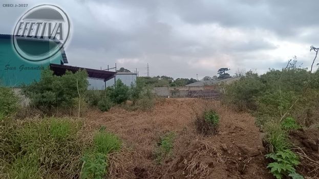 Foto 23 do(a) Terreno false à venda em Thomaz Coelho, Araucária