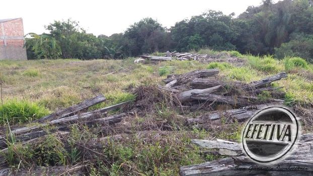 Foto 21 do(a) Terreno false à venda em Thomaz Coelho, Araucária