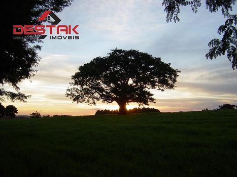 Foto 5 do(a) Fazenda / Sítio / Chácara de 8 quartos à venda em Área Rural de Santo Antônio de Posse, Santo Antônio de Posse