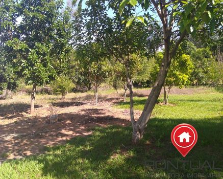 Foto 36 do(a) Fazenda / Sítio / Chácara de 2 quartos à venda em Senador Salgado Filho, Marília