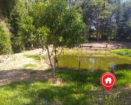 Foto 31 do(a) Fazenda / Sítio / Chácara de 2 quartos à venda em Senador Salgado Filho, Marília