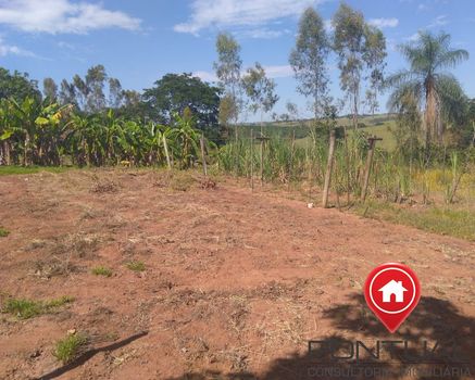 Foto 13 do(a) Fazenda / Sítio / Chácara de 2 quartos à venda em Senador Salgado Filho, Marília