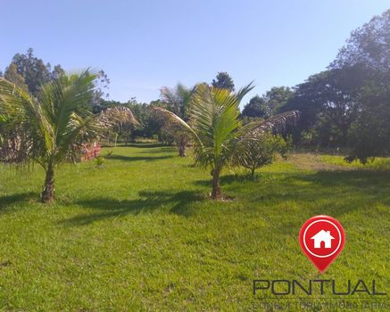 Foto 6 do(a) Fazenda / Sítio / Chácara de 2 quartos à venda em Senador Salgado Filho, Marília