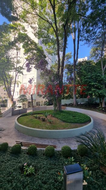 Foto 15 do(a) Apartamento de 2 quartos à venda em Vila Irmãos Arnoni, São Paulo