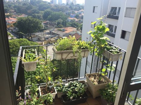 Foto 17 do(a) Apartamento de 2 quartos à venda em Vila Progredior, São Paulo