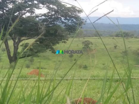 Foto 6 do(a) Fazenda / Sítio / Chácara de 1 quartos à venda em null, Mateus Leme