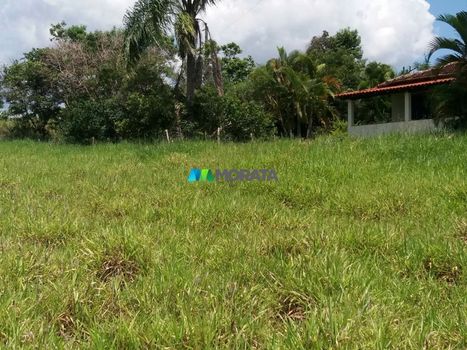 Foto 17 do(a) Fazenda / Sítio / Chácara de 1 quartos à venda em null, Mateus Leme