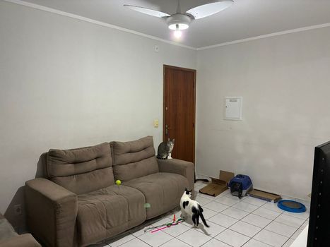 Foto 18 do(a) Apartamento de 2 quartos à venda em Monte Castelo, São José dos Campos