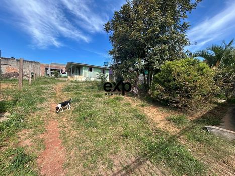 Foto 4 do(a) Terreno false à venda em Jardim Florestal, Campo Largo