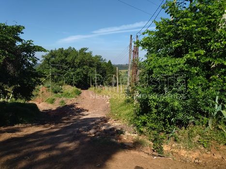 Foto 7 do(a) Fazenda / Sítio / Chácara de 4 quartos à venda em Alto, Botucatu