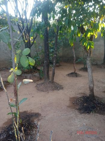 Foto 20 do(a) Casa de 3 quartos à venda em Bonsucesso, Vespasiano