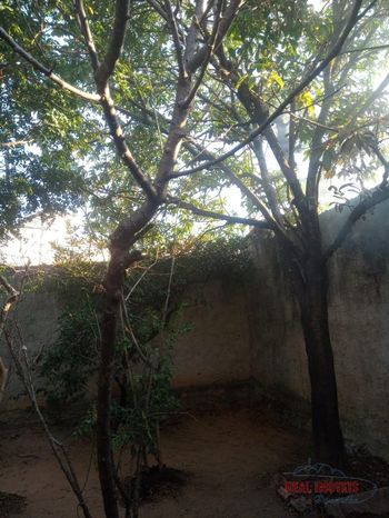 Foto 18 do(a) Casa de 3 quartos à venda em Bonsucesso, Vespasiano