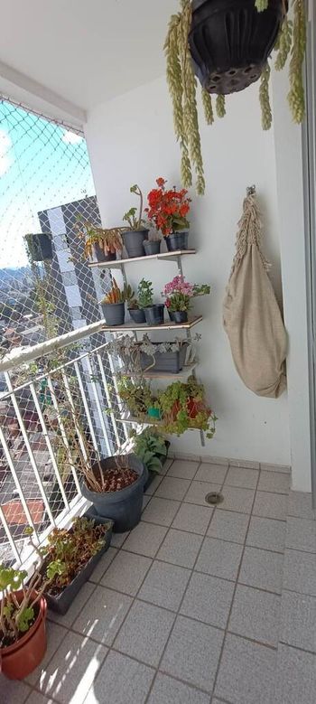 Foto 6 do(a) Apartamento de 2 quartos à venda em Jardim Mariliza, São Paulo