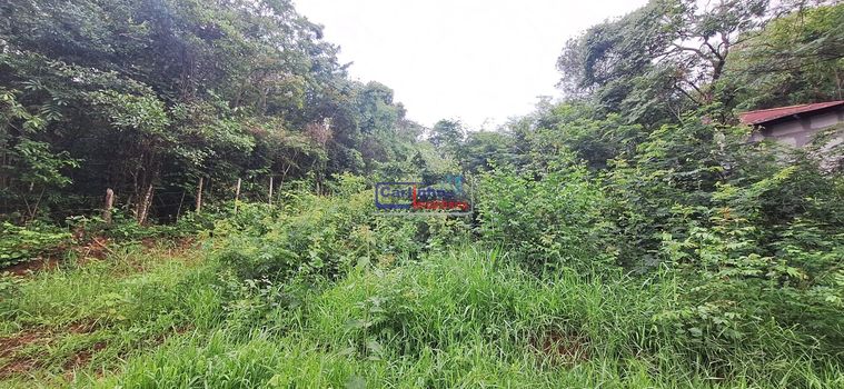 Foto 12 do(a) Terreno false à venda em Cidade Jardim, Esmeraldas