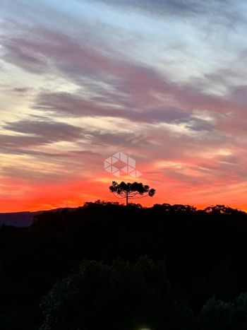 Foto 5 do(a) Fazenda / Sítio / Chácara de 5 quartos à venda em null, Rancho Queimado