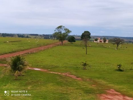 Foto 5 do(a) Fazenda / Sítio / Chácara false à venda em null, Presidente Epitácio