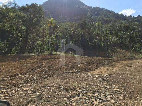 Foto 3 do(a) Terreno false à venda em null, Schroeder