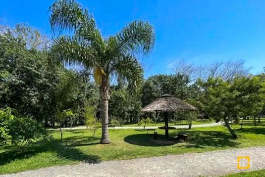 Foto 41 do(a) Cobertura de 3 quartos à venda em Monte Verde, Florianópolis