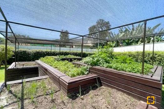 Foto 40 do(a) Cobertura de 3 quartos à venda em Monte Verde, Florianópolis