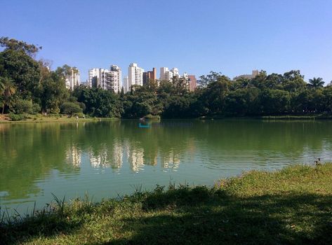 Foto 18 do(a) Apartamento de 2 quartos à venda em Cambuci, São Paulo