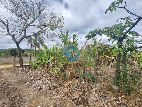 Foto 50 do(a) Fazenda / Sítio / Chácara de 1 quartos à venda em null, Piedade