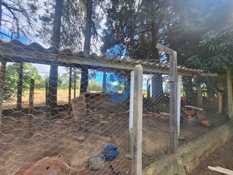 Foto 29 do(a) Fazenda / Sítio / Chácara de 1 quartos à venda em null, Piedade