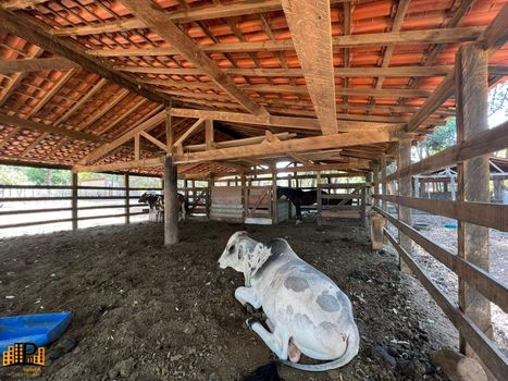 Foto 16 do(a) Fazenda / Sítio / Chácara de 3 quartos à venda em Altos de Itu, Itu