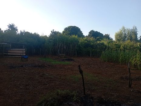 Foto 41 do(a) Fazenda / Sítio / Chácara de 4 quartos à venda em null, Bady Bassitt