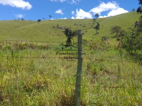 Foto 8 do(a) Fazenda / Sítio / Chácara false à venda em null, Cunha
