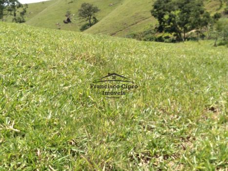 Foto 1 do(a) Fazenda / Sítio / Chácara false à venda em null, Cunha