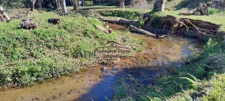 Foto 43 do(a) Fazenda / Sítio / Chácara de 3 quartos à venda em null, Cunha