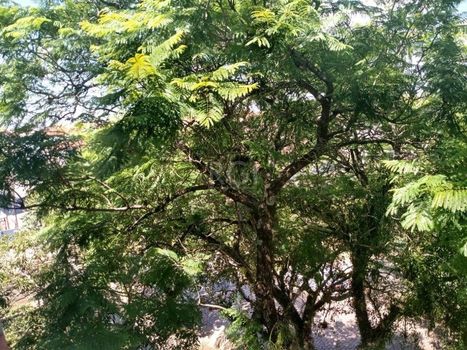 Foto 13 do(a) Flat de 2 quartos à venda em Jardim Lindóia, Porto Alegre