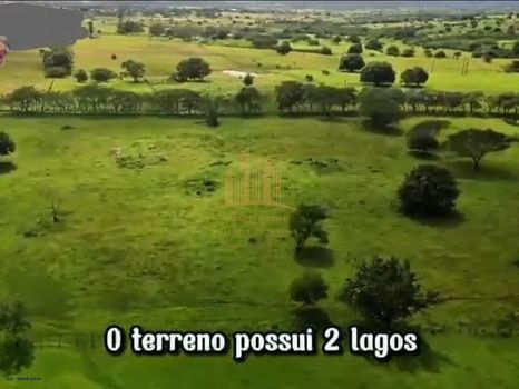 Foto 18 do(a) Fazenda / Sítio / Chácara false à venda em Área Rural de Palmeira dos Índios, Palmeira dos Índios