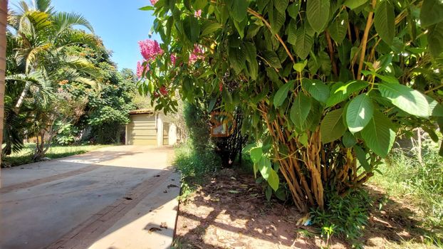 Foto 4 do(a) Fazenda / Sítio / Chácara de 3 quartos à venda em Chácara São Marcelo, Mogi Mirim