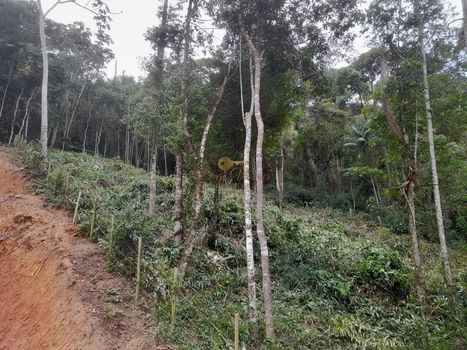 Foto 28 do(a) Terreno false à venda em Parque do Imbui, Teresópolis