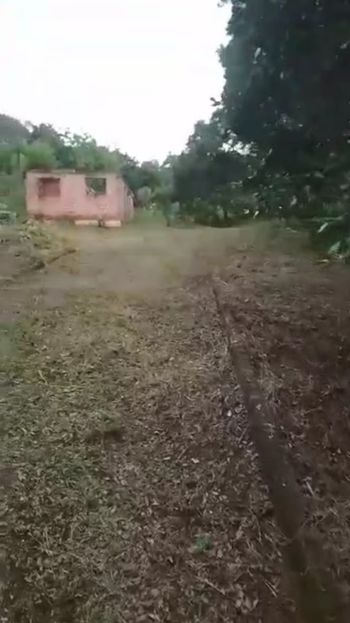 Foto 16 do(a) Fazenda / Sítio / Chácara de 3 quartos à venda em null, Bocaiúva do Sul