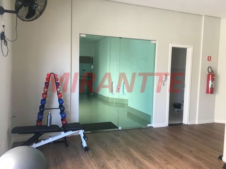 Foto 22 do(a) Apartamento de 3 quartos para alugar em Jardim São Paulo(Zona Norte), São Paulo