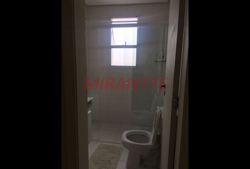 Foto 10 do(a) Apartamento de 3 quartos para alugar em Jardim São Paulo(Zona Norte), São Paulo