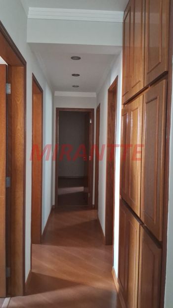 Foto 16 do(a) Apartamento de 3 quartos à venda em Jardim São Paulo(Zona Norte), São Paulo