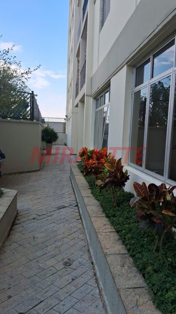 Foto 26 do(a) Apartamento de 3 quartos à venda em Jardim São Paulo(Zona Norte), São Paulo