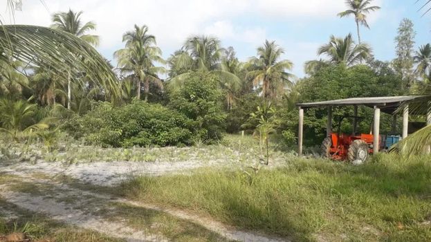 Foto 3 do(a) Fazenda / Sítio / Chácara de 3 quartos à venda em null, Japaratinga