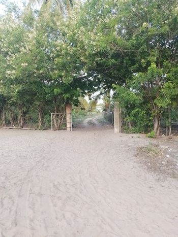 Foto 10 do(a) Fazenda / Sítio / Chácara de 3 quartos à venda em null, Japaratinga