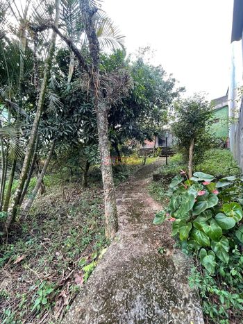 Foto 33 do(a) Casa de 3 quartos à venda em Rio Grande, São Bernardo do Campo